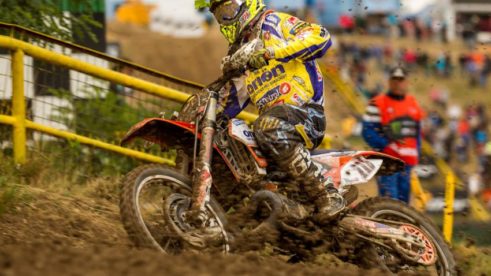 MS MX Loket 2015